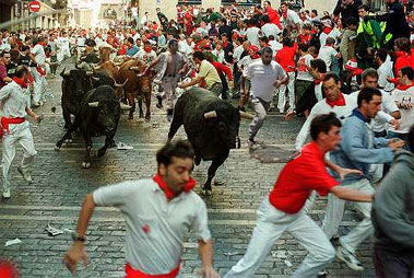 San Fermin running bulls
